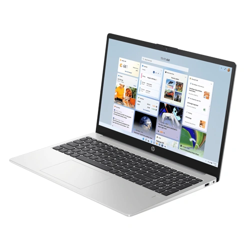 HP 255 G10 B1FW9PT Laptop (AMD Ryzen 3 -7320U/Silver)